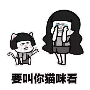 【抖音絲瓜鞋一只馬】GIF高清無水印表情包分享