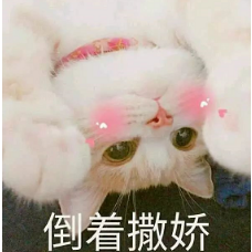 抖音喵喵喵貓咪表情包高清無水印圖片分享！