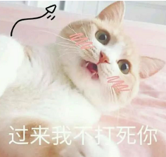 抖音喵喵喵貓咪表情包高清無水印圖片分享！