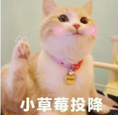 抖音喵喵喵貓咪表情包高清無水印圖片分享！