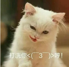 抖音喵喵喵貓咪表情包高清無水印圖片分享！