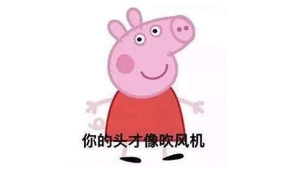【抖音小豬佩奇吹風(fēng)機(jī)】吹風(fēng)機(jī)社會(huì)豬為什么火