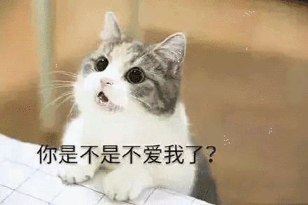 【抖音貓咪哄老公】超萌哄老公無水印表情包