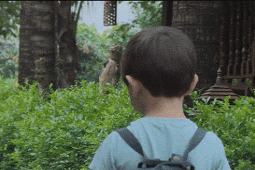 【抖音求人的表情包】GIF無水印表情包分享