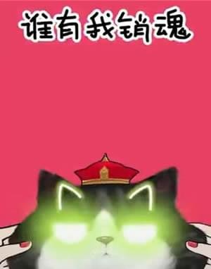 抖音我們喵星人就是辣么拽是什么歌 我們喵星人就是辣么拽表情包匯總