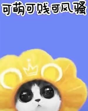 抖音我們喵星人就是辣么拽是什么歌 我們喵星人就是辣么拽表情包匯總