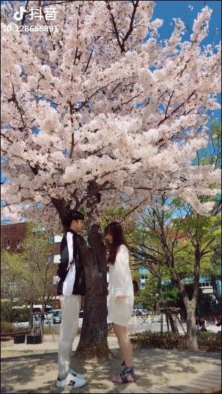 抖音愛的華爾茲背景音樂是什么?抖音愛的華爾茲背景音樂介紹