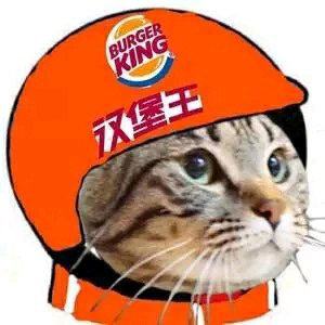 抖音社會(huì)人頭像無(wú)水印圖片分享【多圖】