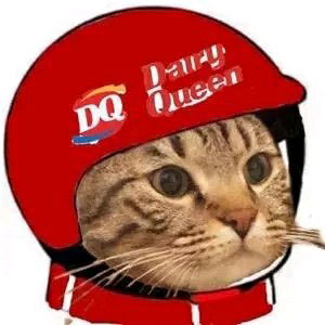 抖音社會(huì)人頭像無(wú)水印圖片分享【多圖】