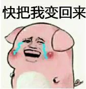 抖音傲嬌生氣變豬高清無水印表情包圖片分享【多圖】