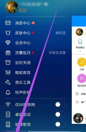 酷狗音樂歌手寫真怎么關閉_酷狗音樂關閉歌手寫真方法【圖】