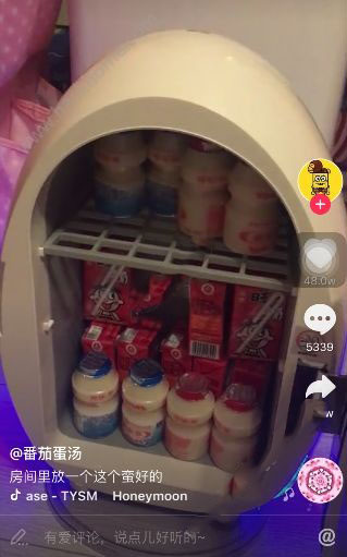 抖音迷你冰箱叫什么？在哪里能賣