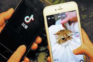 抖音里的音樂怎么下載到手機上?抖音上的歌曲怎么下載到手機上