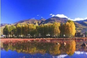 抖音稻城音樂是什么?抖音稻城配音bgm分享