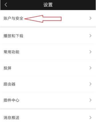 愛奇藝在哪查看登錄記錄_愛奇藝查看登錄記錄教程【圖】