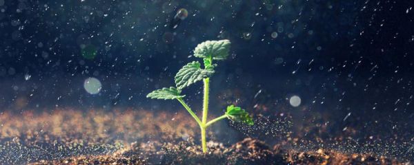 暴雨的說說發(fā)朋友圈 下暴雨怎么發(fā)朋友圈