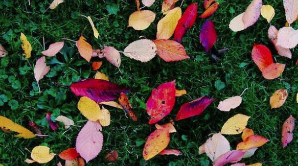 2018適合女生的抖音個性簽名大全