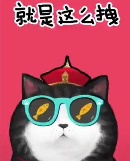 抖音我們喵星人是什么歌？抖音我們喵星人就是辣么拽歌詞分享