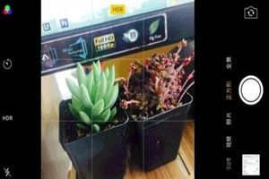 抖音iphone怎么拍照？抖音iPhone拍照技巧分享