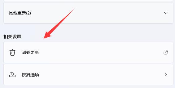 win11自動更新后變得超級卡