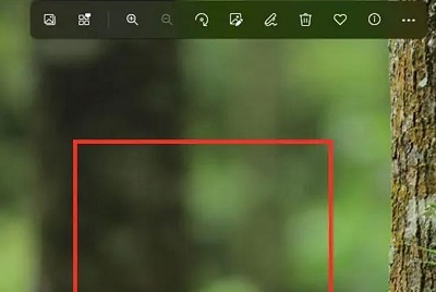 win11怎么壓縮照片