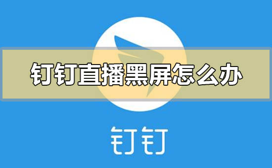 釘釘直播黑屏怎么辦