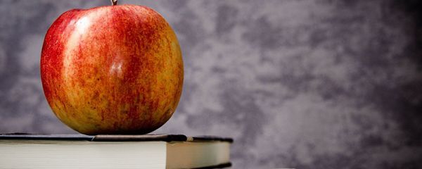 適合各種心情的句子  適合發朋友圈的句子