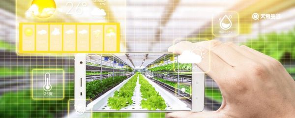 騰訊視頻hd和騰訊視頻有什么區(qū)別 騰訊視頻HD和騰訊視頻的區(qū)別