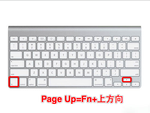 MacOS的Fn鍵有什么用？MacOS中Fn鍵的使用方法