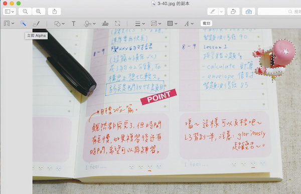 Mac OS的瀏覽功能有什么用?Mac預覽功能中的一些實用技巧