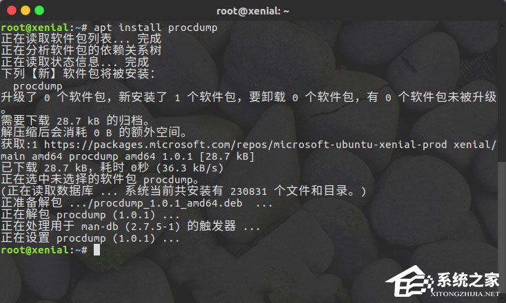 Linux系統(tǒng)如何安裝使用ProcDump for Linux?