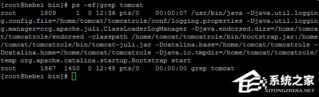 Linux系統如何查看和結束進程？