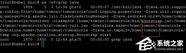Linux系統如何查看和結束進程？