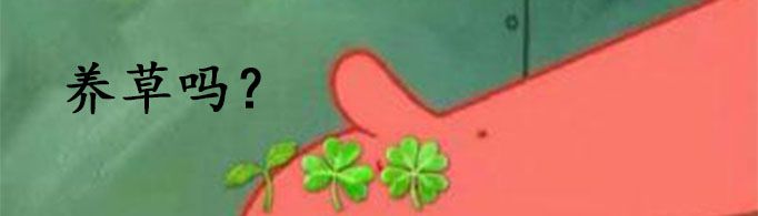 qq養草是什么?