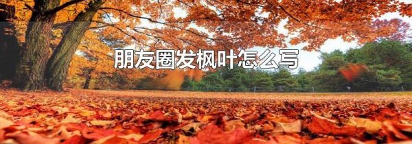 朋友圈發楓葉怎么寫