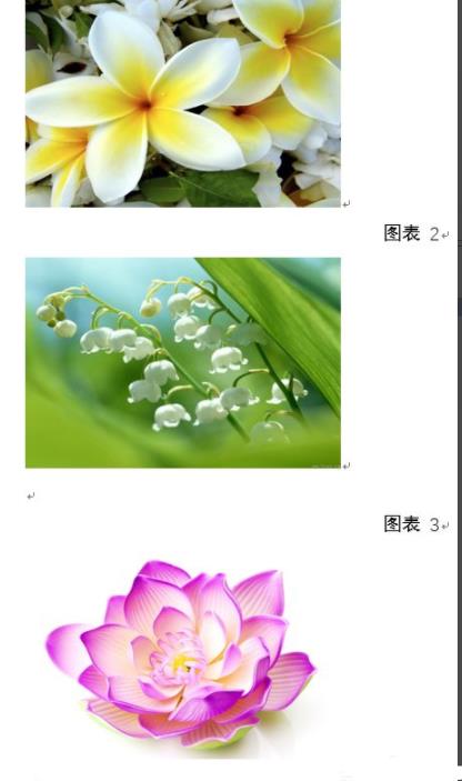 word圖片統一調整大小方法