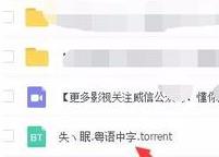 百度網(wǎng)盤怎么播放bt種子文件