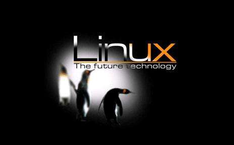 linux的虛擬內存機制