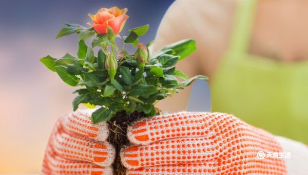 微信名字微信昵稱 各種好聽的微信名字