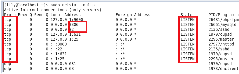 LINUX中如何查看某個端口是否被占用