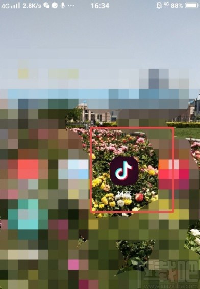 抖音APP查詢違規(guī)記錄的方法