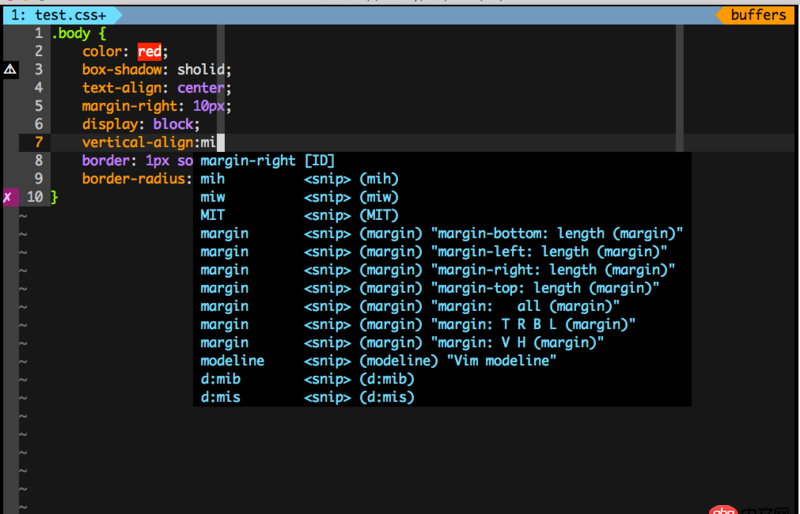使用 vim 編寫 css 屬性值沒有辦法自動補全