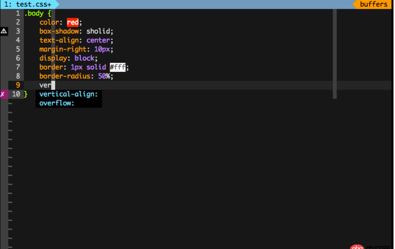 使用 vim 編寫 css 屬性值沒有辦法自動補全