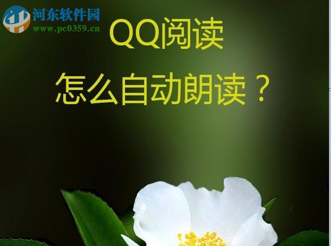 qq閱讀設置自動朗讀功能的方法