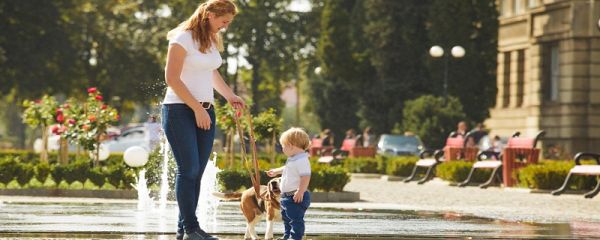 遛娃的朋友圈句子 遛娃的朋友圈怎么發(fā)