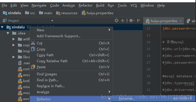 IDEA項目重命名的操作