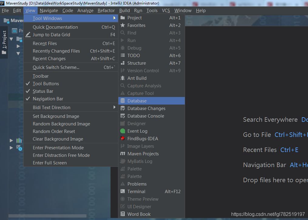 Idea連接數據庫并執行SQL語句的方法示例
