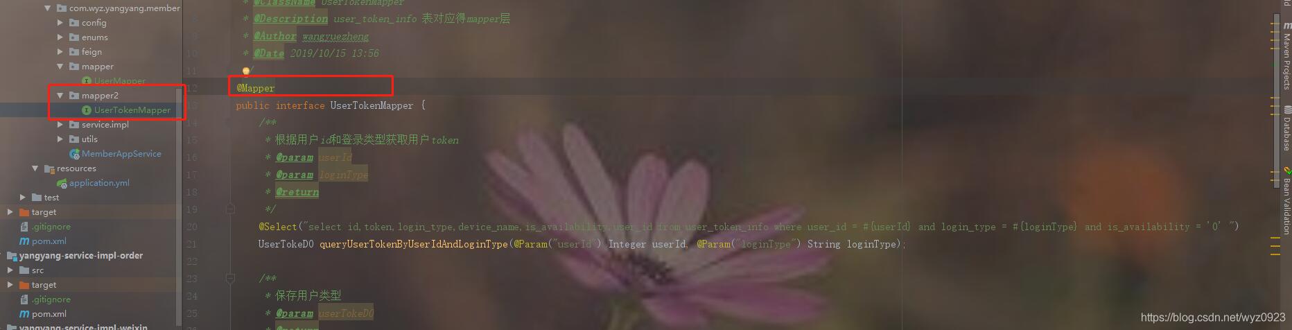 解決Mybatis在IDEA中找不到mapper映射文件的問題