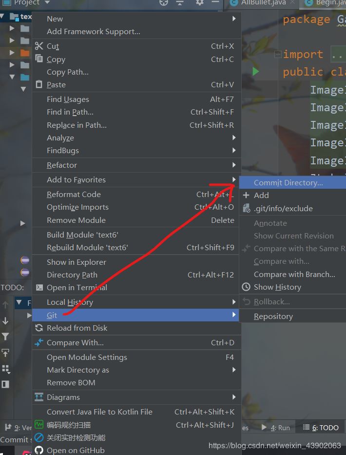如何把idea中的項(xiàng)目導(dǎo)入github倉(cāng)庫(kù)中(圖文詳解)