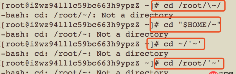 bash - 不小心在linux上創建了一個名字為 ’~’ (不包含引號)的文件夾，現在怎么都進不去這個文件夾了
